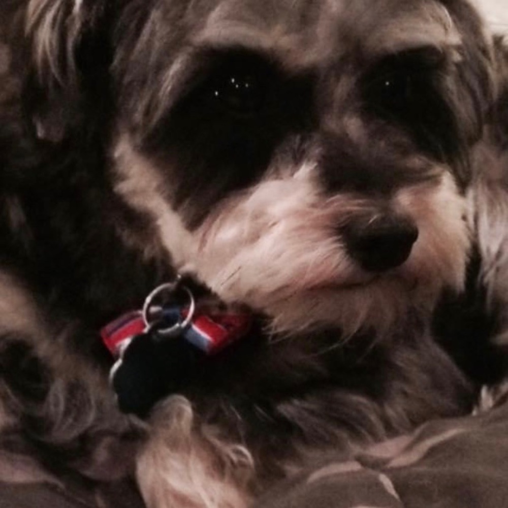 Meet your Posher, Theresa